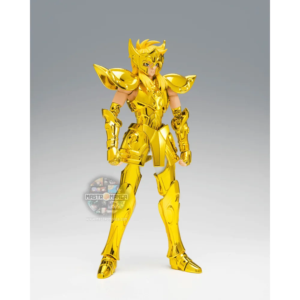 Aquarius Hyoga Inheritor Of The Gold Cloth Saint Cloth Myth EX