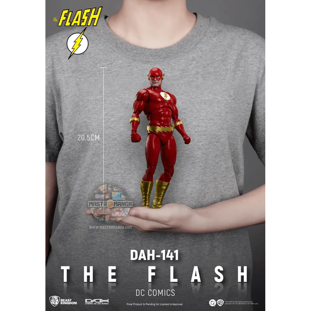 Flash DC Comics Dynamic Action Heroes