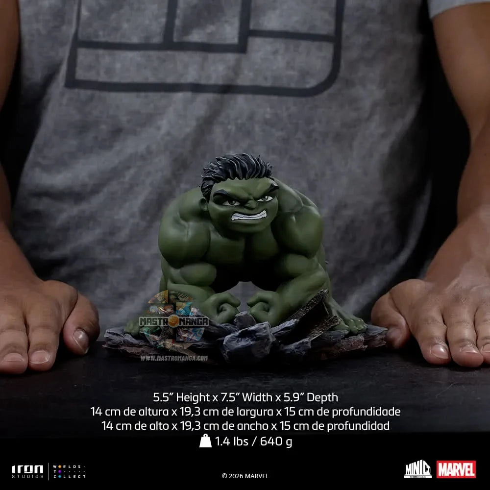 Hulk Spider-Man Brand New Day MiniCo
