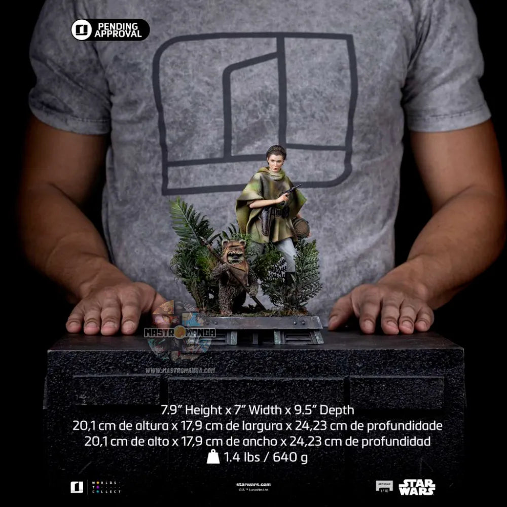 Leia & Wicket Star Wars Episodio 6