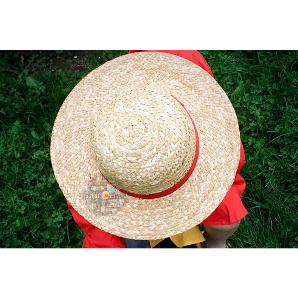 Monkey D. Luffy One Piece Straw Hat