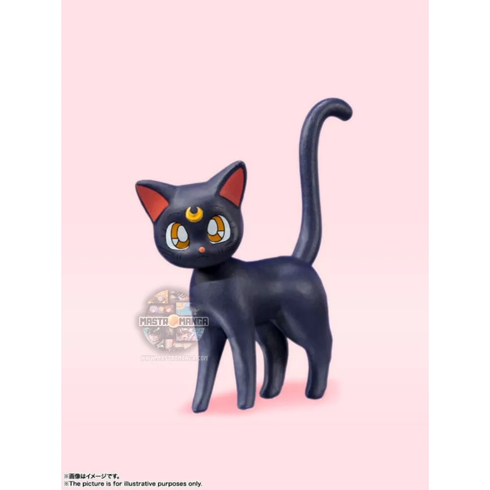 Sailor Moon Animation Color S.H.Figuarts Rerun