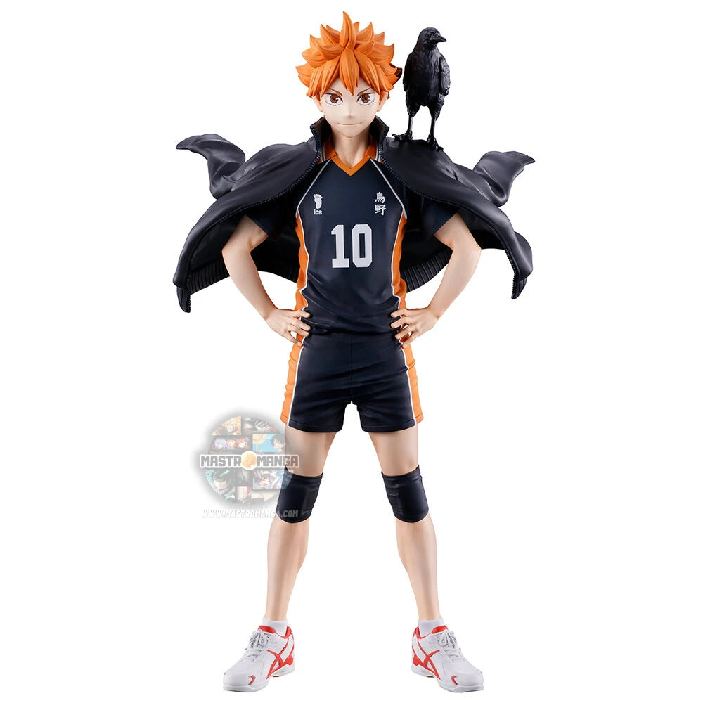 Shoyo Hinata Haikyu!!The Future of Karasuno Ichibansho