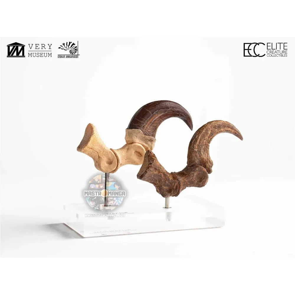 Velociraptor Foot Claw And Fossil Claw Set Jurassic Park