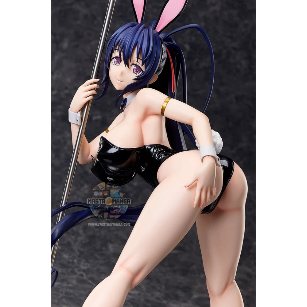Akeno Himejima Bare Leg Bunny 2nd Ver. High School DxD HERO