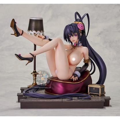 Akeno Himejima 15th Ann. Renewal Pack High School DxD