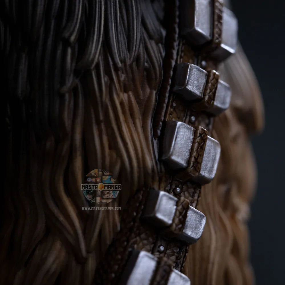 Chewbacca And Tokkat Star Wars