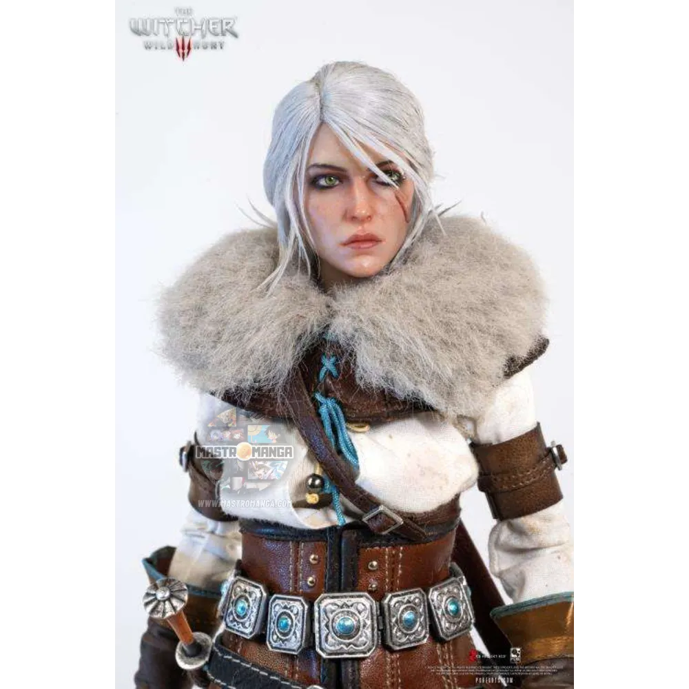 Ciri The Witcher 3 Wild Hunt