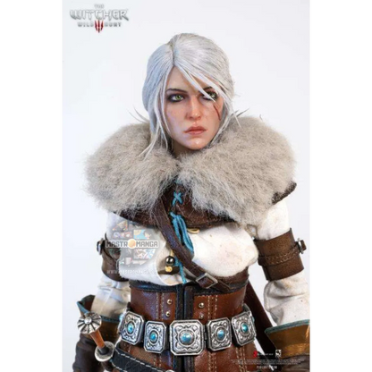 Ciri The Witcher 3 Wild Hunt