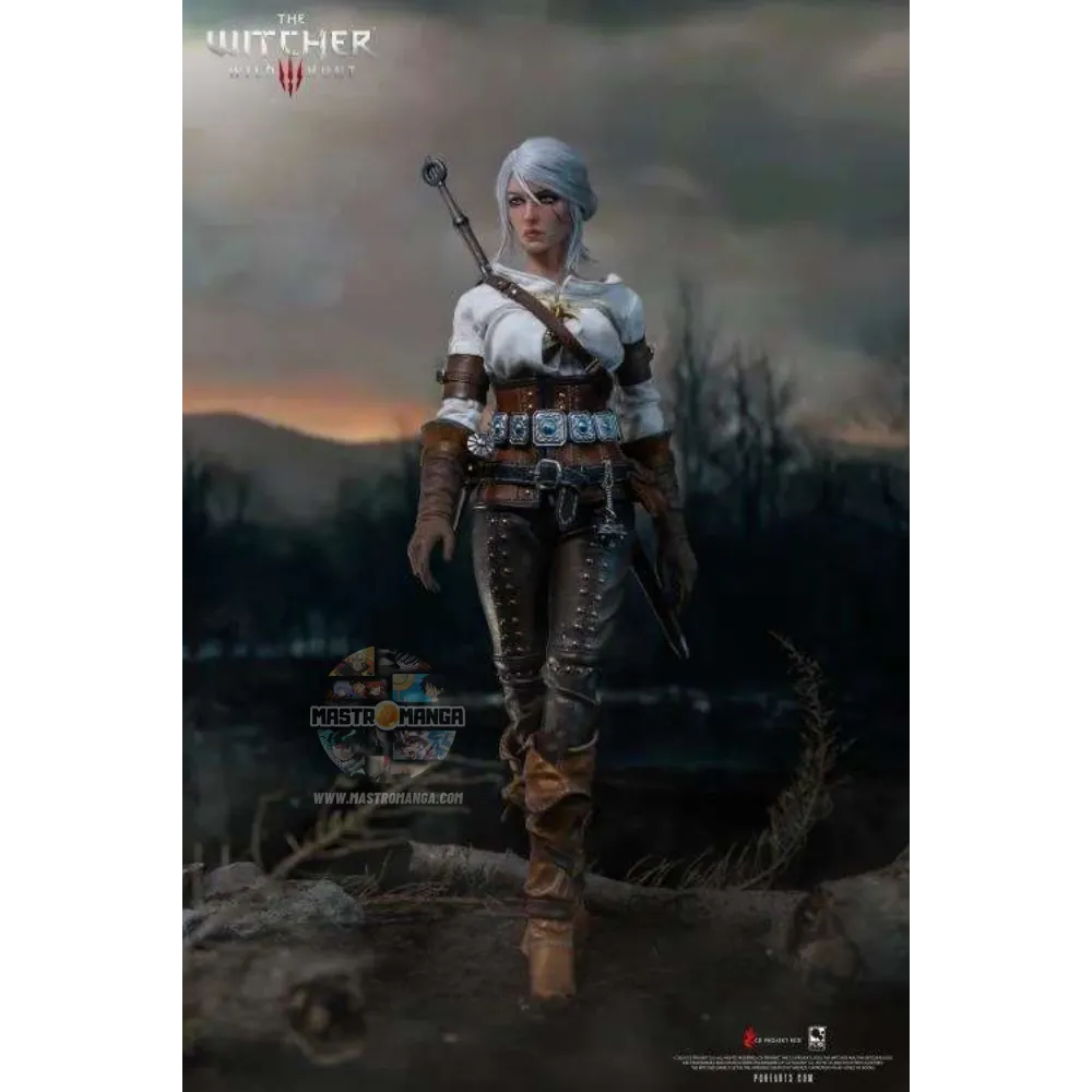 Ciri The Witcher 3 Wild Hunt