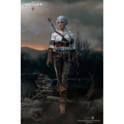 Ciri The Witcher 3 Wild Hunt