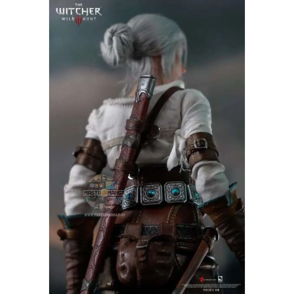 Ciri The Witcher 3 Wild Hunt