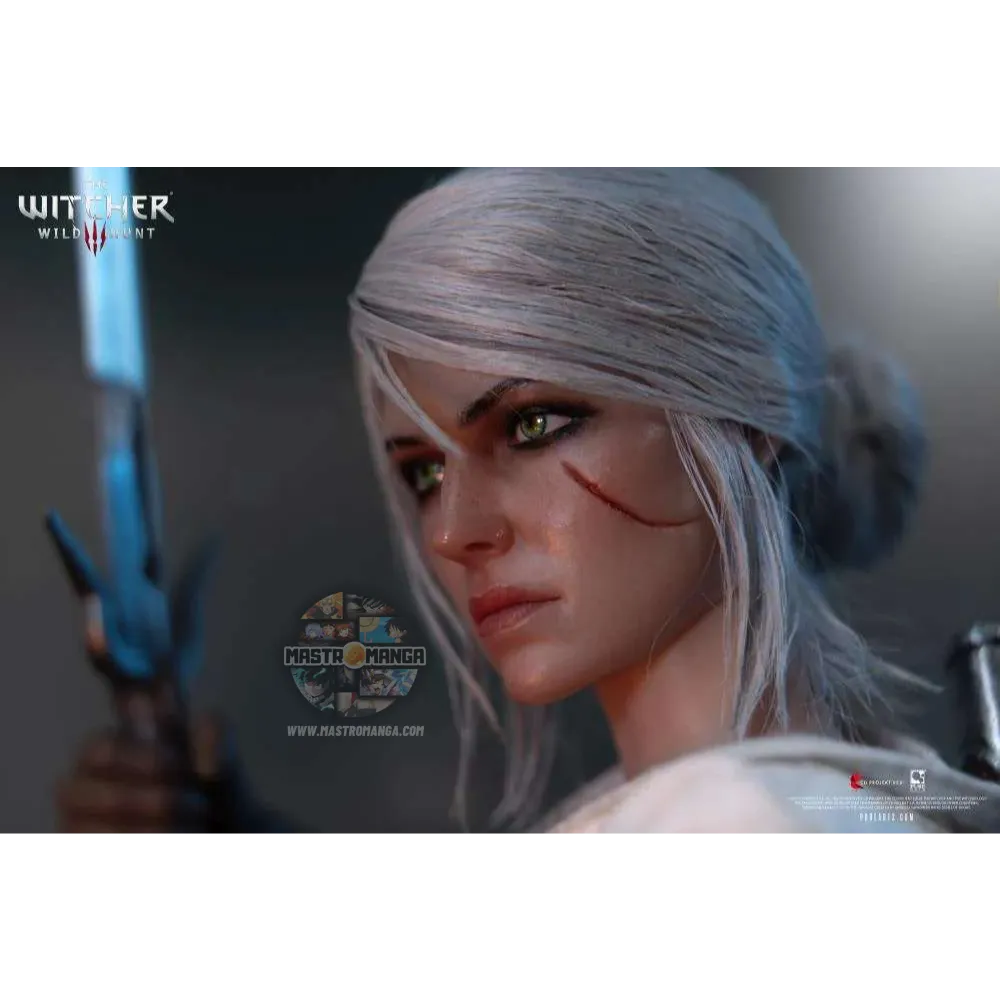 Ciri The Witcher 3 Wild Hunt