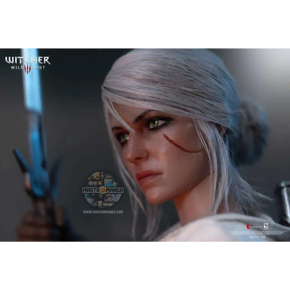 Ciri The Witcher 3 Wild Hunt