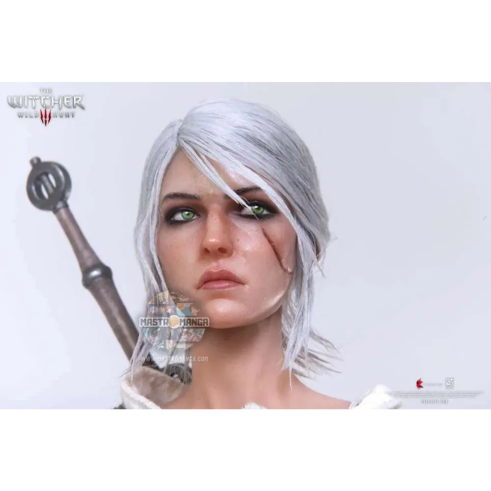 Ciri The Witcher 3 Wild Hunt
