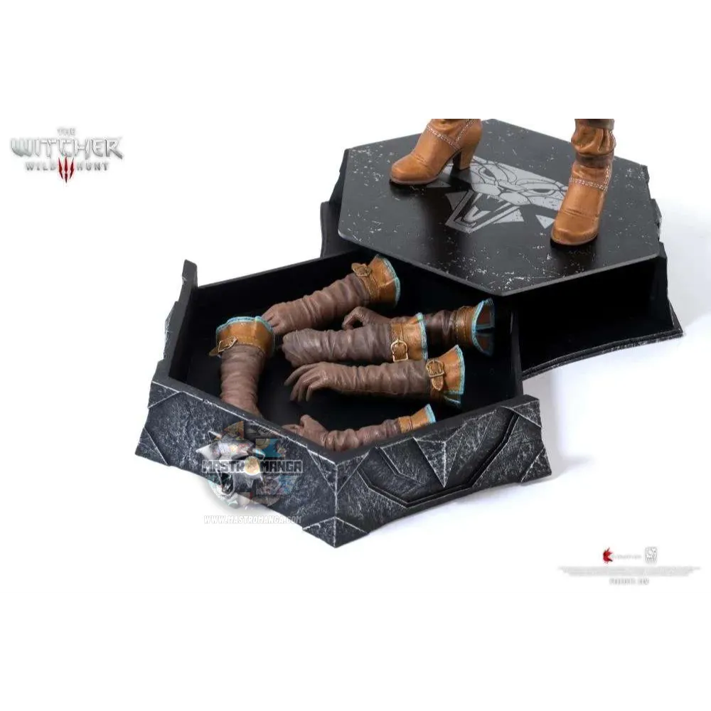 Ciri The Witcher 3 Wild Hunt