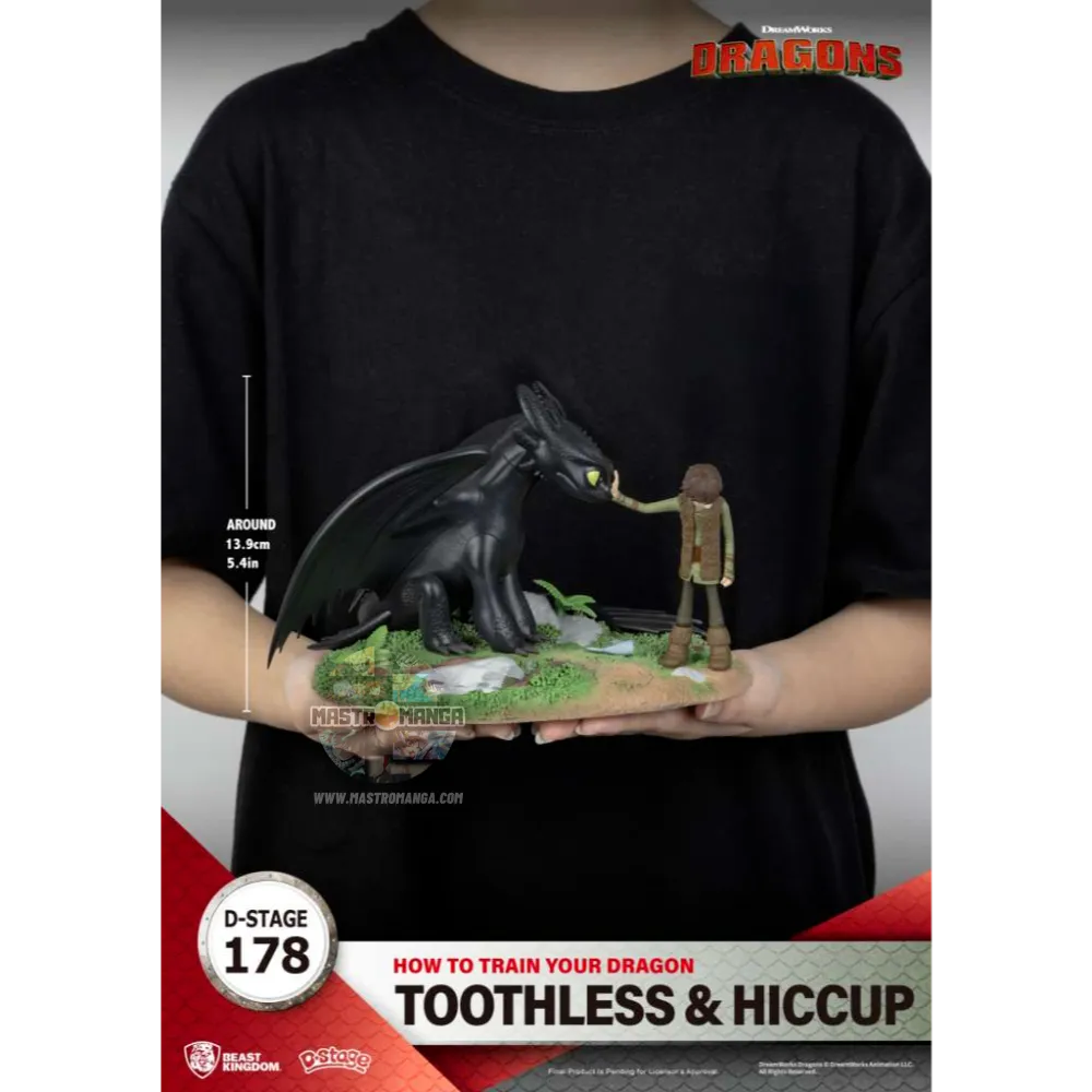 Toothless & Hiccup How To Train Your Dragon