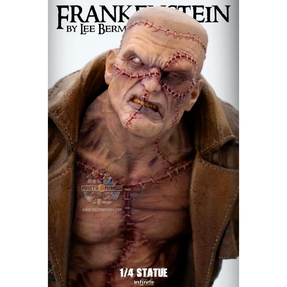 Frankenstein By Lee Bermejo