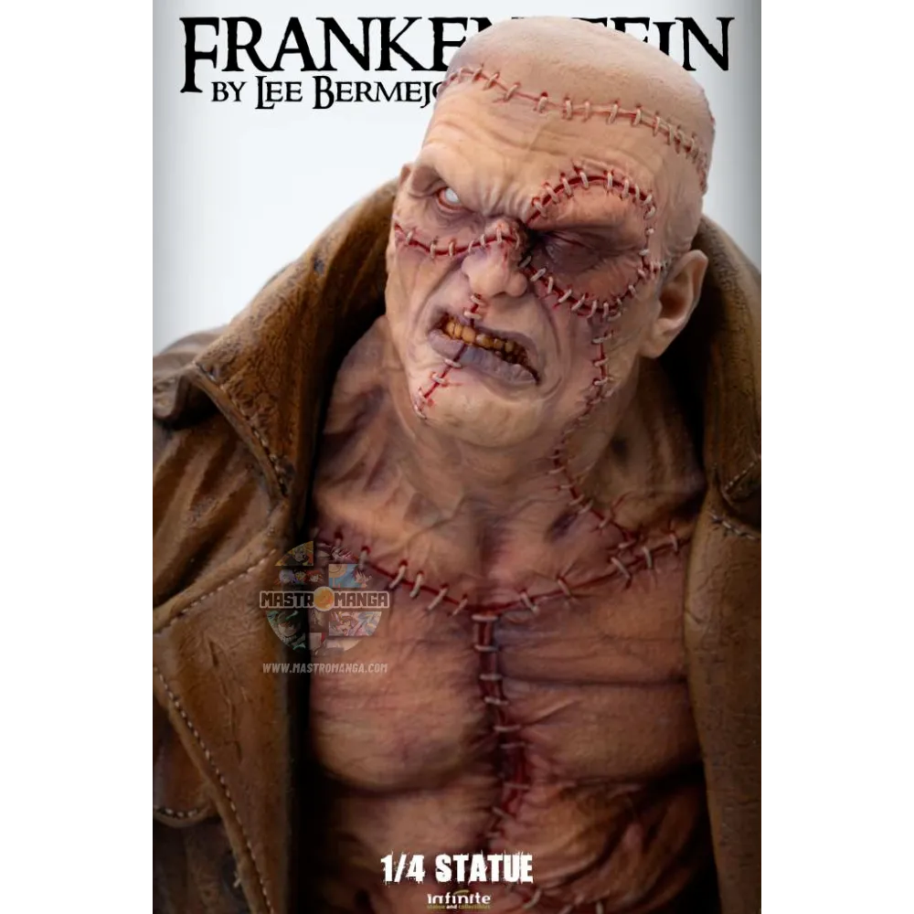 Frankenstein By Lee Bermejo