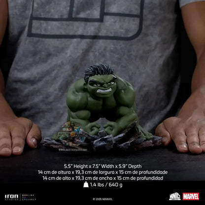 Hulk Spider-Man Brand New Day MiniCo