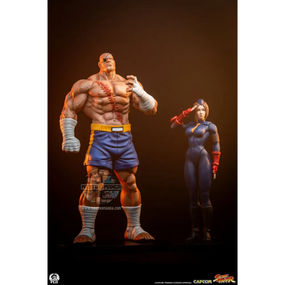 Sagat & Juli Street Fighter Street Jam Set