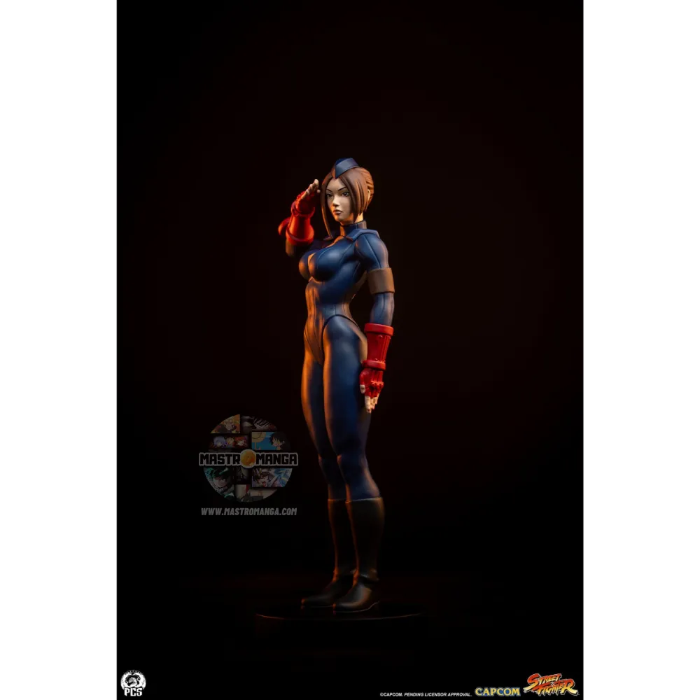 Sagat & Juli Street Fighter Street Jam Set