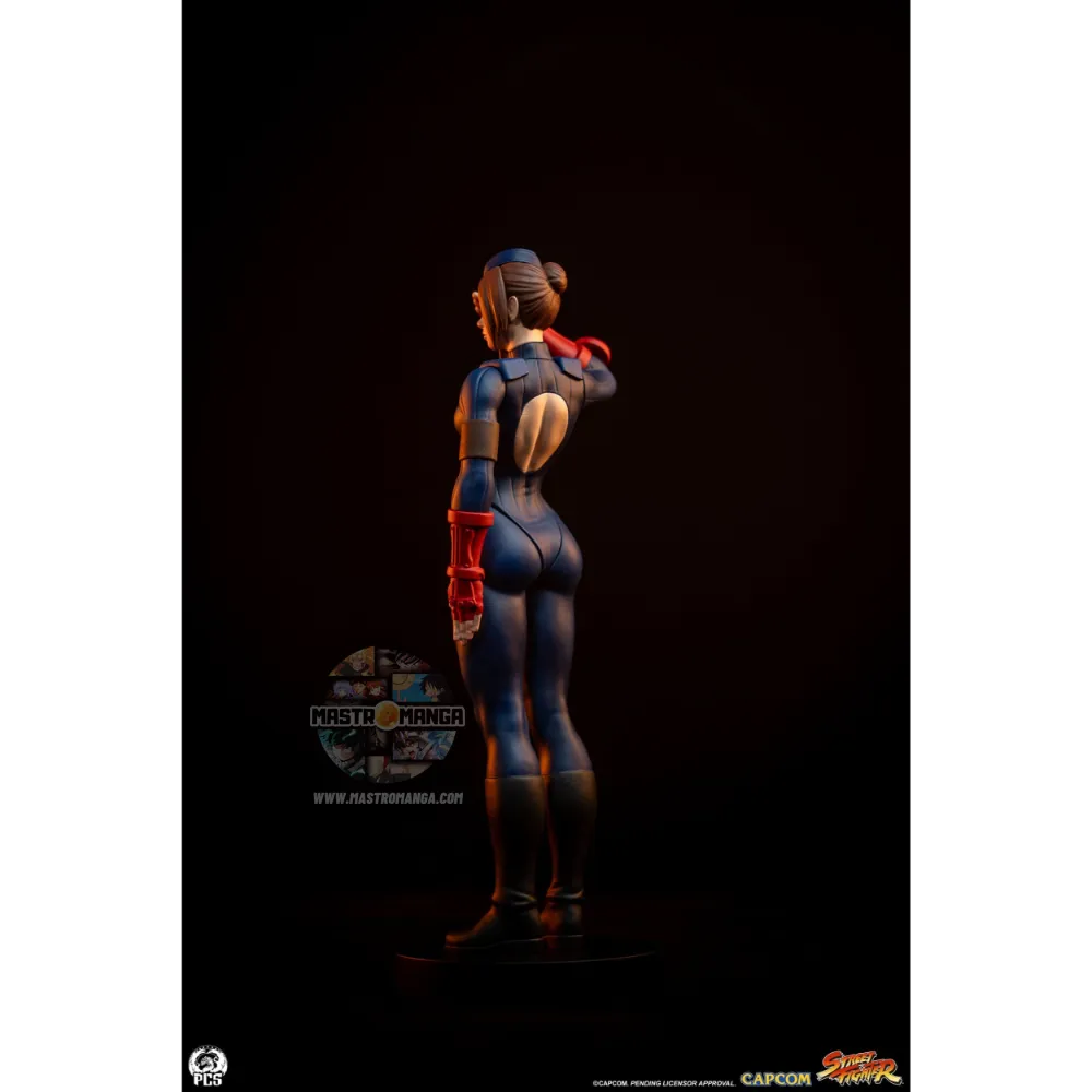 Sagat & Juli Street Fighter Street Jam Set
