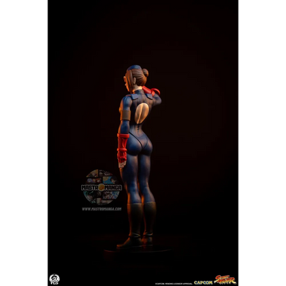 Sagat & Juli Street Fighter Street Jam Set