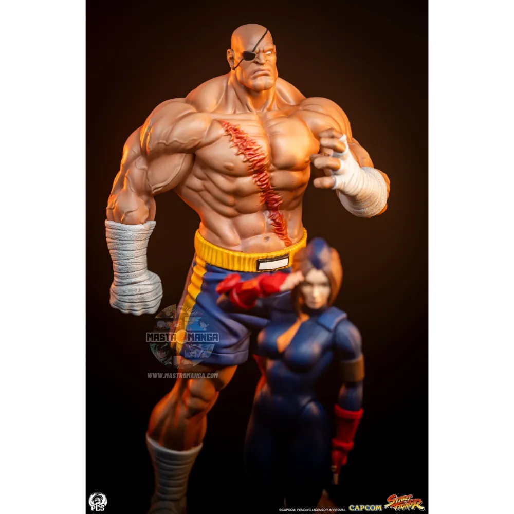 Sagat & Juli Street Fighter Street Jam Set