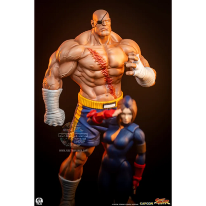 Sagat & Juli Street Fighter Street Jam Set
