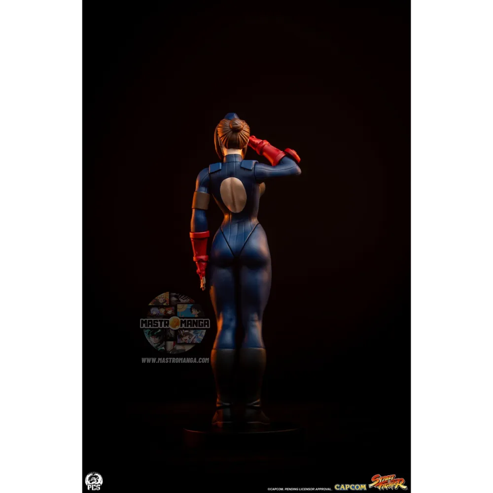 Sagat & Juli Street Fighter Street Jam Set