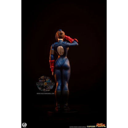 Sagat & Juli Street Fighter Street Jam Set