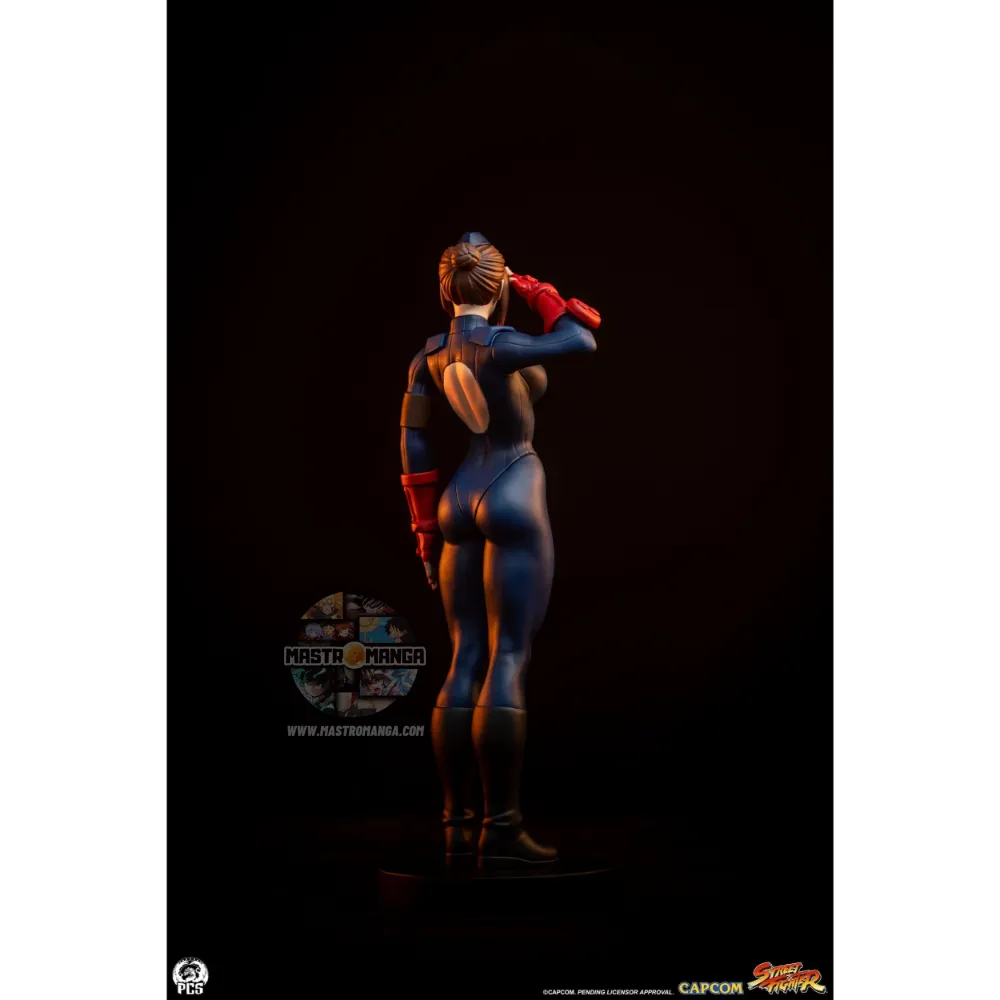 Sagat & Juli Street Fighter Street Jam Set