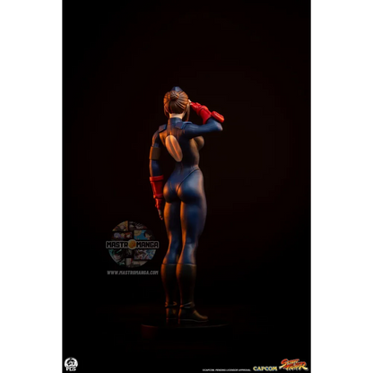 Sagat & Juli Street Fighter Street Jam Set