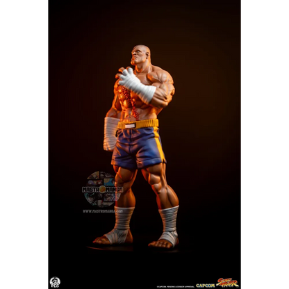 Sagat & Juli Street Fighter Street Jam Set