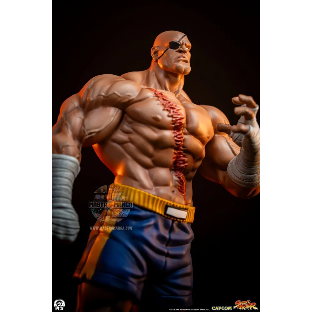Sagat & Juli Street Fighter Street Jam Set