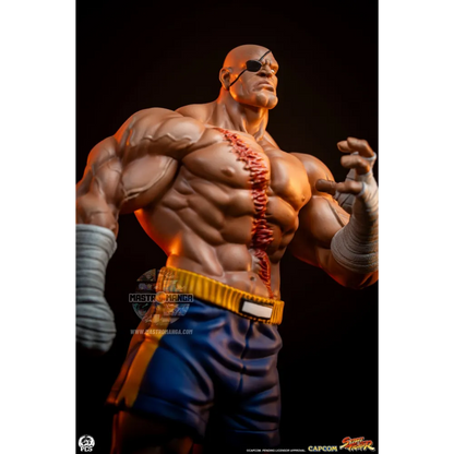 Sagat & Juli Street Fighter Street Jam Set