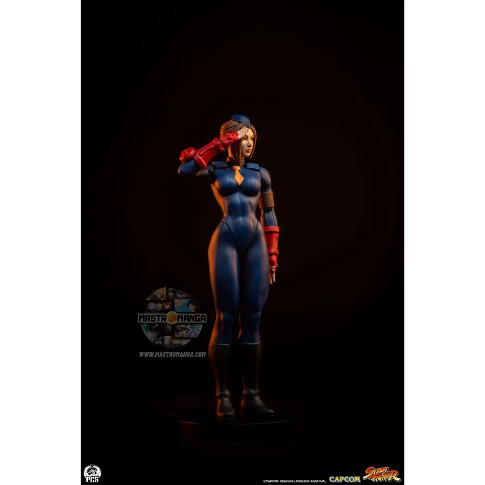 Sagat & Juli Street Fighter Street Jam Set