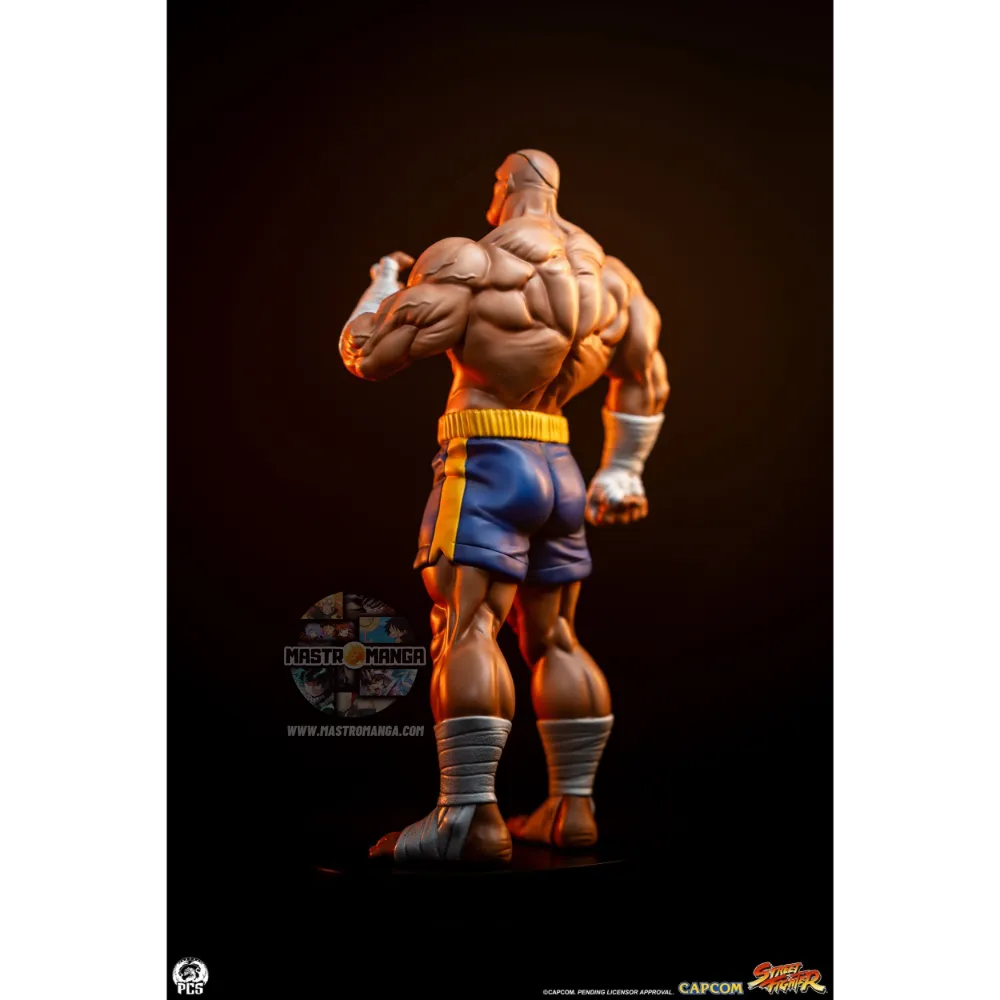 Sagat & Juli Street Fighter Street Jam Set