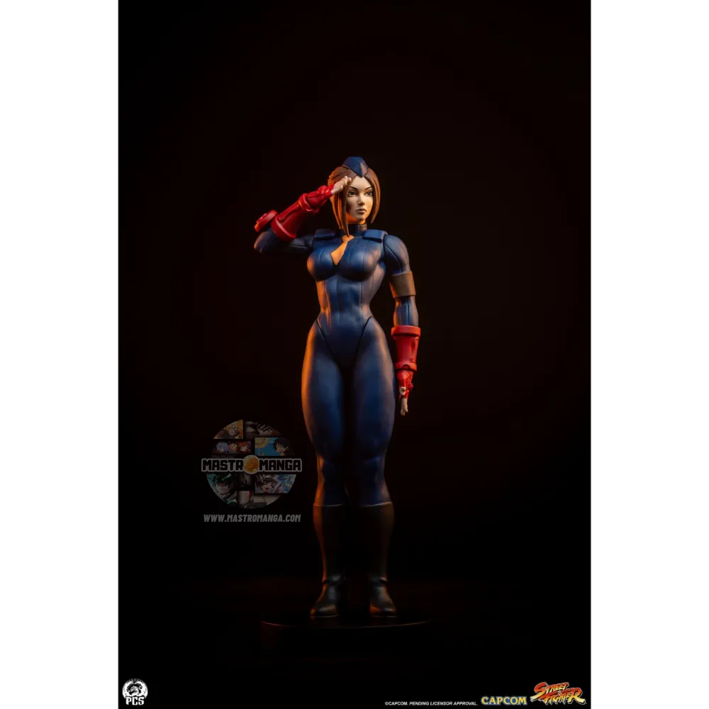 Sagat & Juli Street Fighter Street Jam Set
