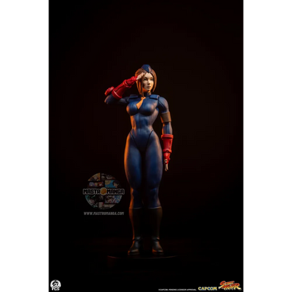 Sagat & Juli Street Fighter Street Jam Set