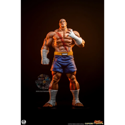 Sagat & Juli Street Fighter Street Jam Set