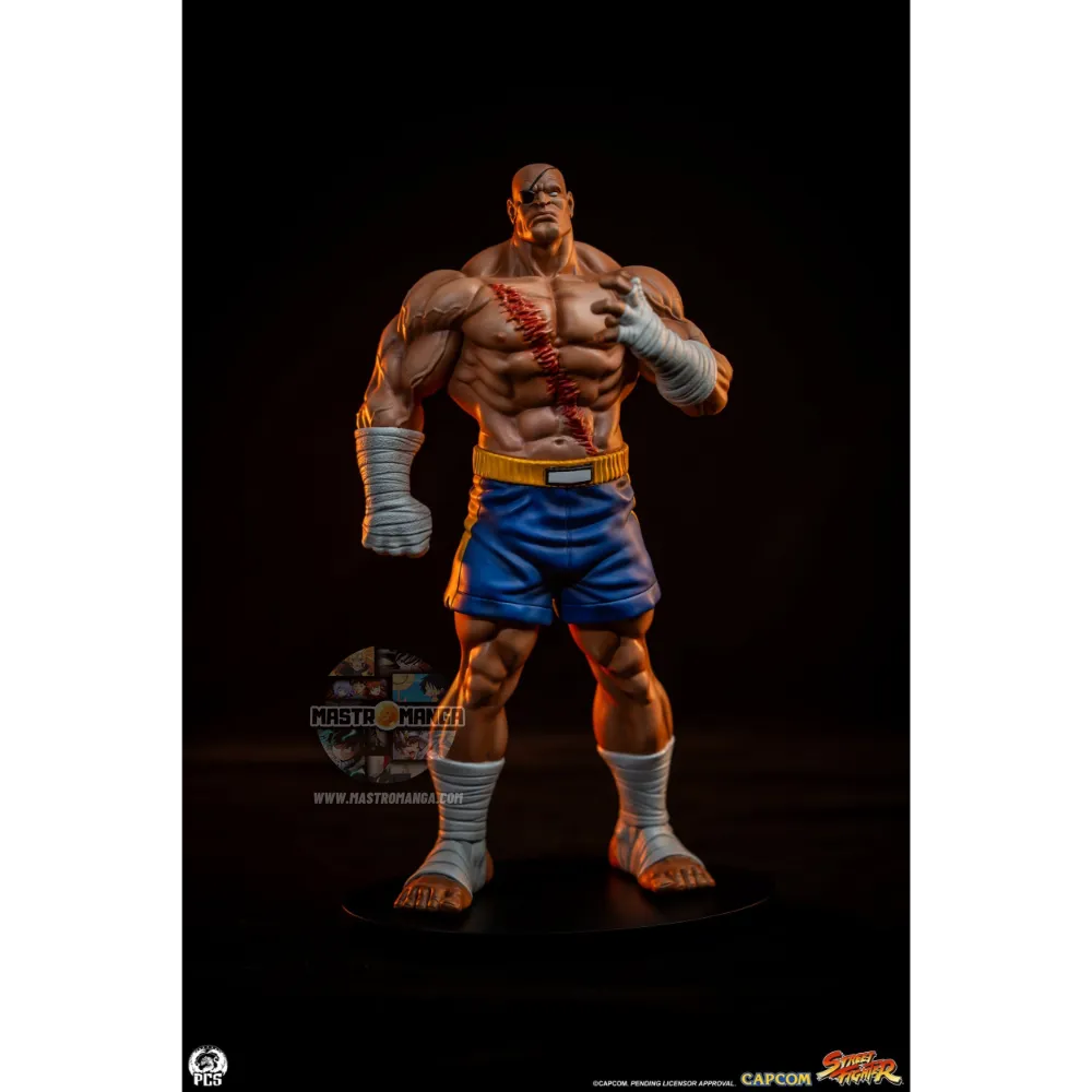 Sagat & Juli Street Fighter Street Jam Set