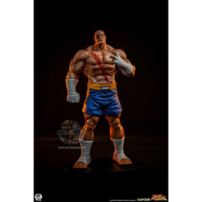 Sagat & Juli Street Fighter Street Jam Set