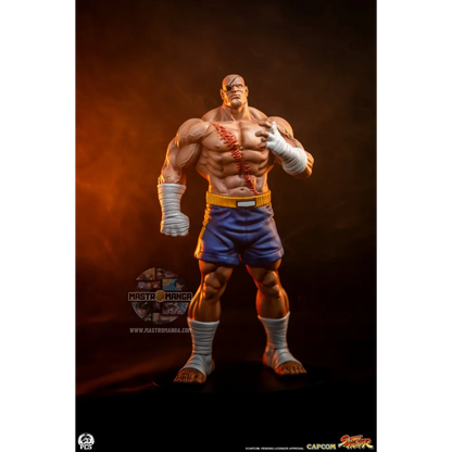 Sagat & Juli Street Fighter Street Jam Set