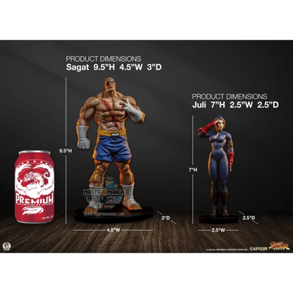 Sagat & Juli Street Fighter Street Jam Set