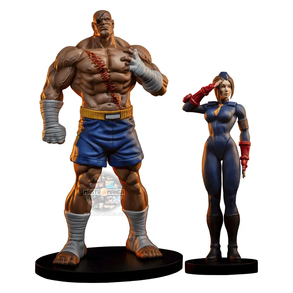 Sagat & Juli Street Fighter Street Jam Set