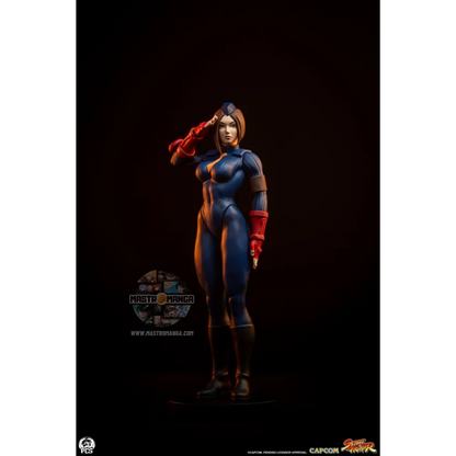 Sagat & Juli Street Fighter Street Jam Set