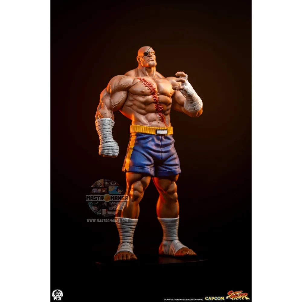 Sagat & Juli Street Fighter Street Jam Set
