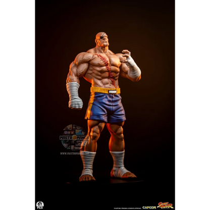 Sagat & Juli Street Fighter Street Jam Set